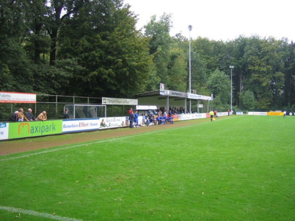 VIACTIV-ARENA im Papenloh